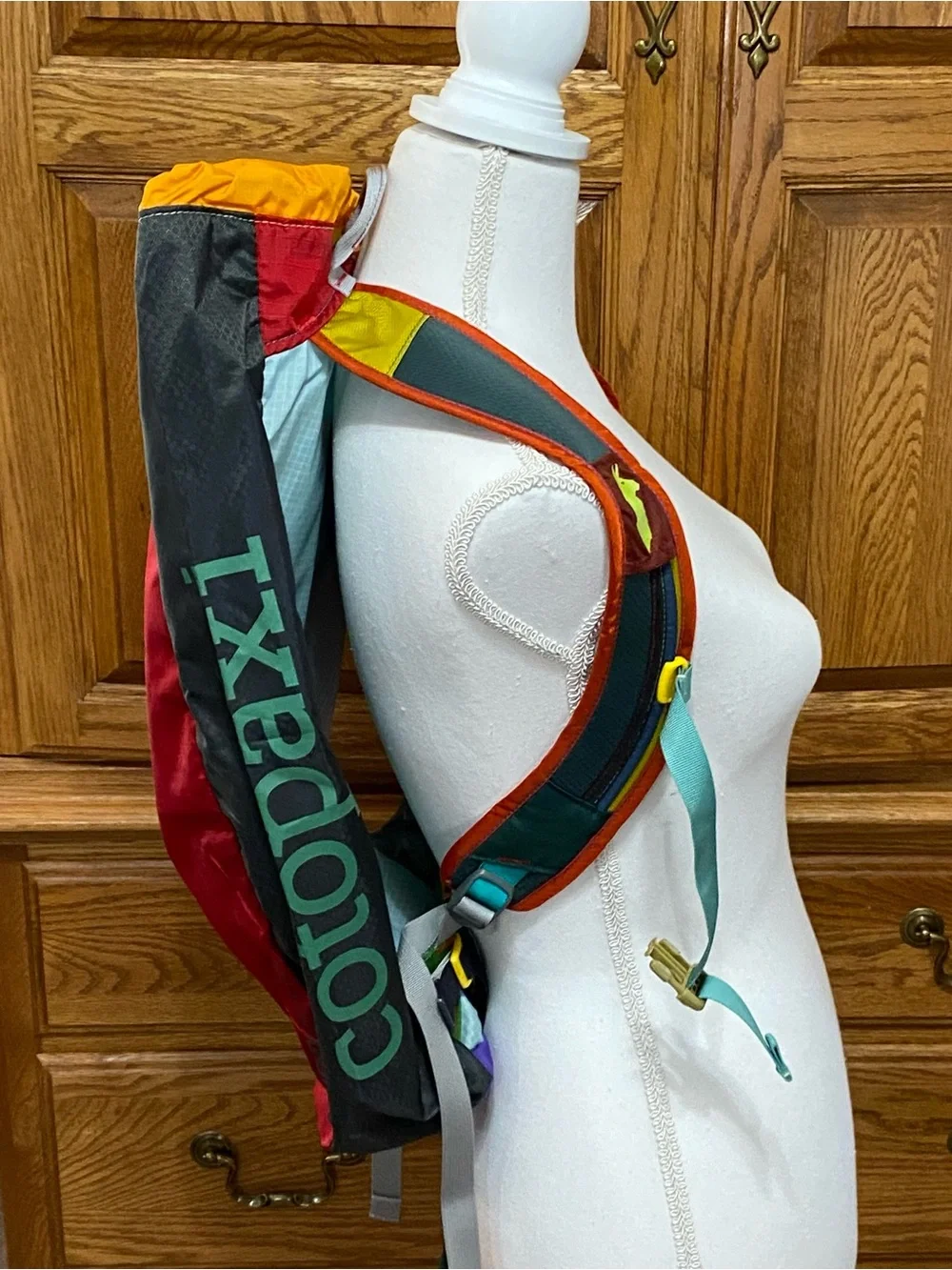 Cotopaxi Luzon 18L Daypack - Del Día Multicolor Backpack Hiking Outdoors NWT - Picture 3 of 16
